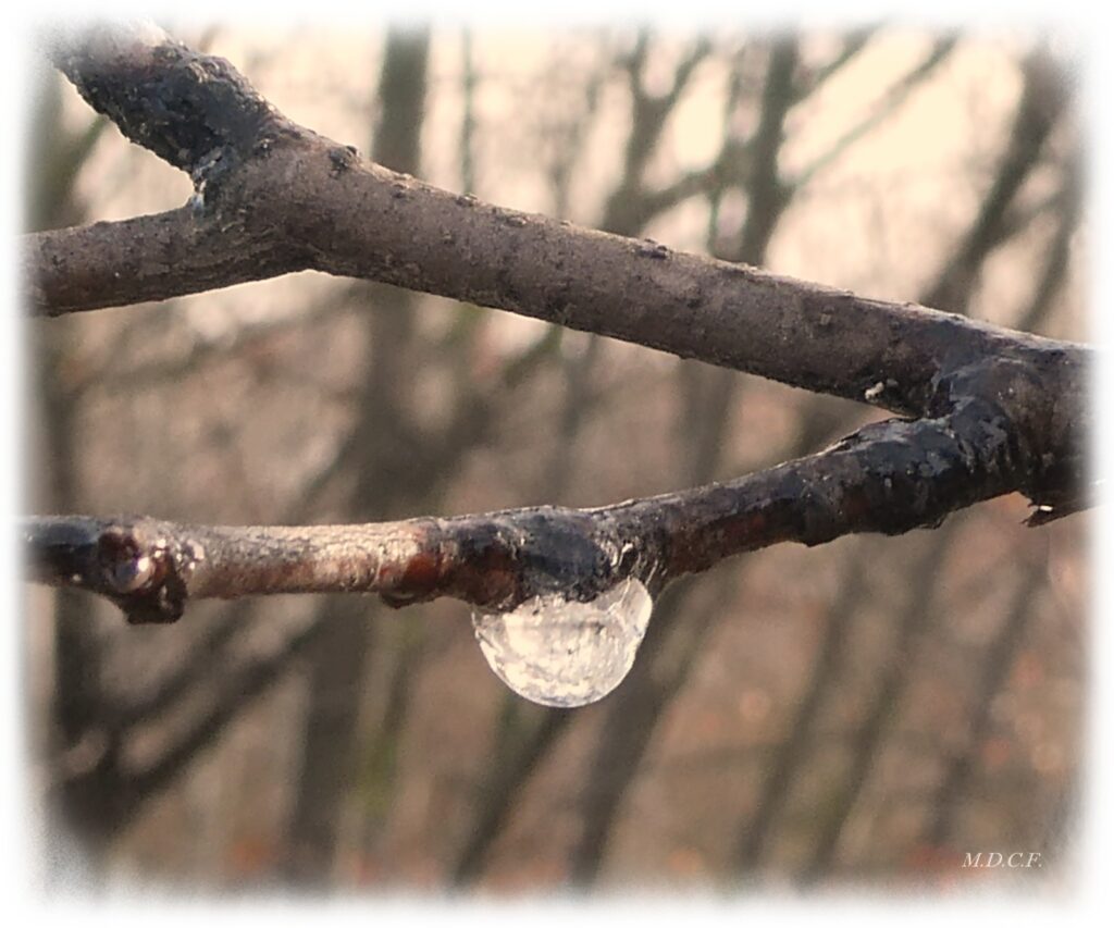 Fotografía de gotas por Marien Del Canto