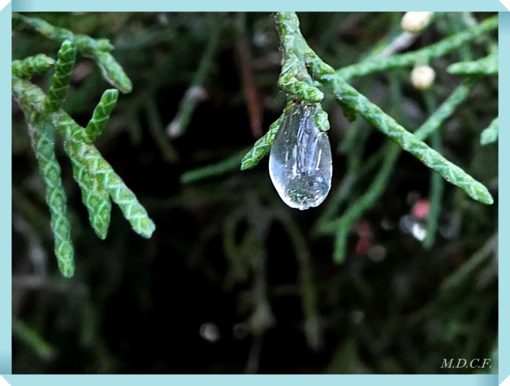 Fotografía de gotas por Marien Del Canto