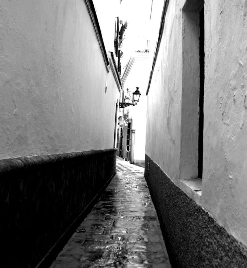 Fotografía de detalles por Marien Del Canto