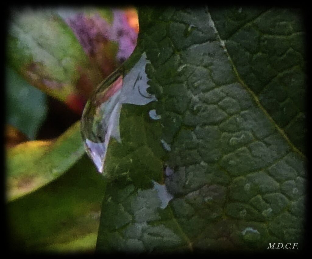 Fotografía de gotas por Marien Del Canto