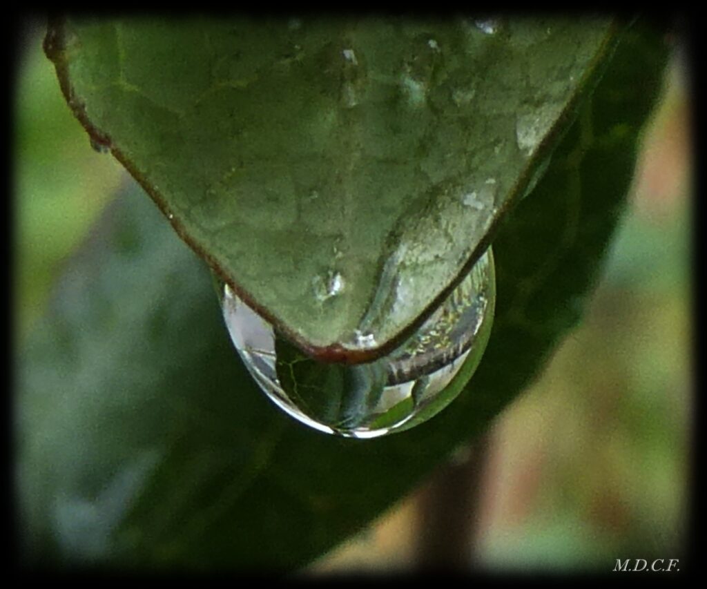 Fotografía de gotas por Marien Del Canto