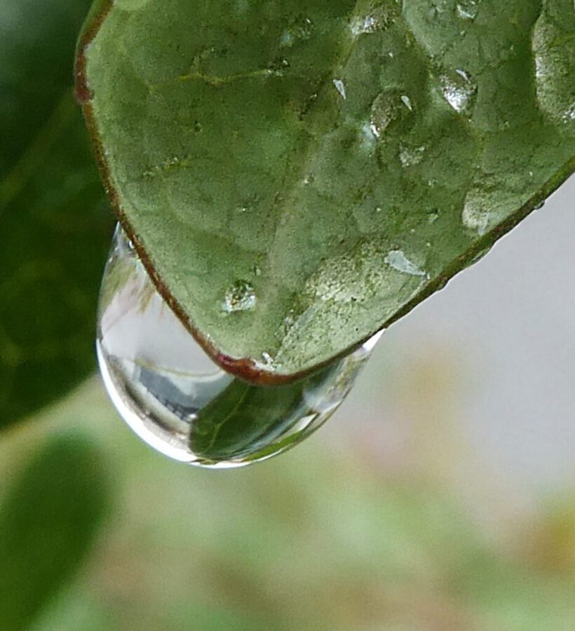 Fotografía de gotas por Marien Del Canto