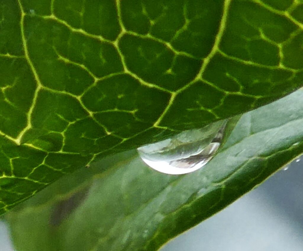 Fotografía de gotas por Marien Del Canto